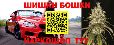 сатива Лесосибирск