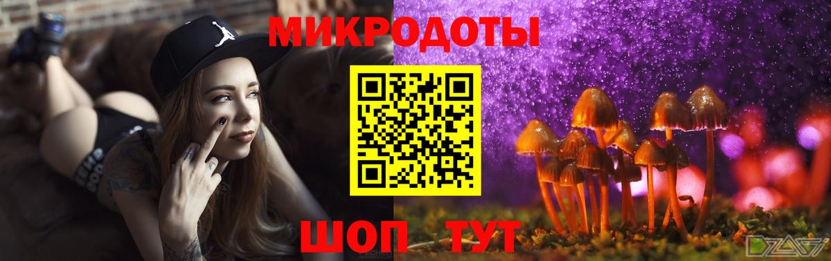 Галлюциногенные грибы Psilocybe  Вход с VPN  Балахна 