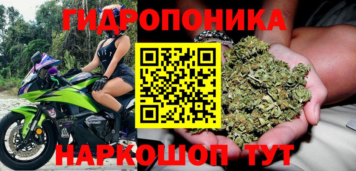 МАРИХУАНА планчик Балахна